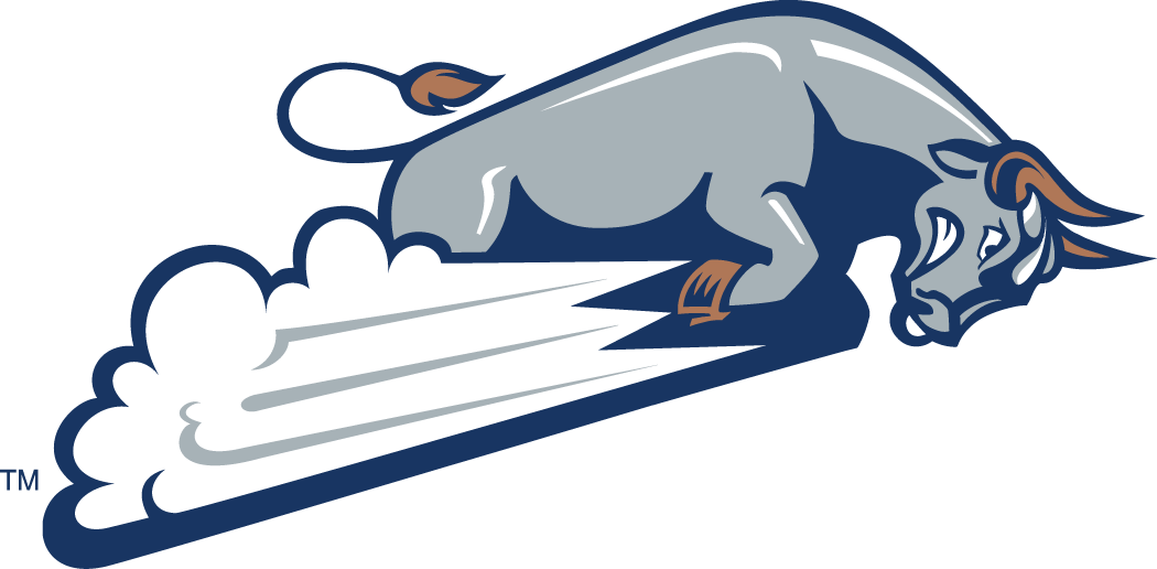 Utah State Aggies 1996-2011 Alternate Logo DIY iron on transfer (heat transfer)